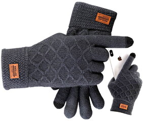 Мужские зимние перчатки R7 цена и информация | Мужские шарфы, шапки, перчатки | kaup24.ee