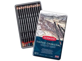 Söepliiats värviline Derwent Tinted Charcoal 12tk metallkarbis hind ja info | Kunstitarbed, voolimise tarvikud | kaup24.ee