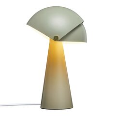 Nordlux настольный светильник Align 2120095023 цена и информация | Настольная лампа | kaup24.ee
