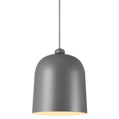 Nordlux подвесной светильник Angle 2020673011 цена и информация | Потолочные светильники | kaup24.ee