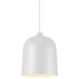 Nordlux подвесной светильник Angle 2020673001