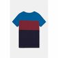 Meeste särk F.C. Barcelona, sinine hind ja info | Jalgpalli varustus ja riided | kaup24.ee