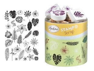 Templite komplekt Aladine Creative Stamp 29tk Jungle цена и информация | Принадлежности для рисования, лепки | kaup24.ee