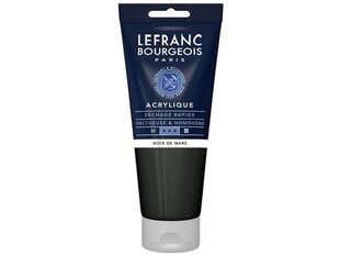 Akrüülvärv LB Fine 271 mars black, 200ml hind ja info | Kunstitarbed, voolimise tarvikud | kaup24.ee