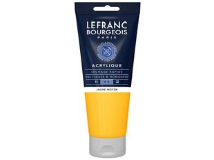 Akrüülvärv LB Fine 198 medium yellow, 200ml цена и информация | Принадлежности для рисования, лепки | kaup24.ee