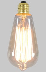 Электрическая лампочка Candellux освещения Edison E27, 290 лм, 2800 К, 1 шт. цена и информация | Лампочки | kaup24.ee