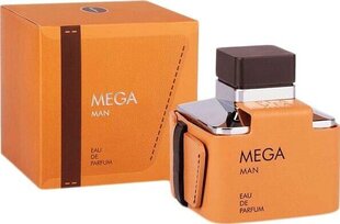 Parfüüm meestele Flavia Men's Mega Edp, 100 ml hind ja info | Meeste parfüümid | kaup24.ee