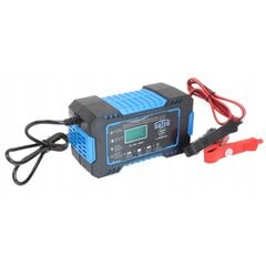 Зарядное устройство Satra, 12В, 6А, 4 - 100Ач цена и информация | Зарядные устройства | kaup24.ee