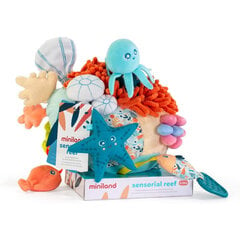Õppemänguasjad Miniland Rifid цена и информация | Развивающие игрушки | kaup24.ee