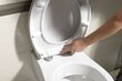 Prill-laud Soft Close Adina kinnitusega цена и информация | WC-poti tarvikud | kaup24.ee