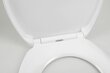 Kompaktne WC pott Creavit puuetega inimestele, 45,5 cm hind ja info | WС-potid | kaup24.ee