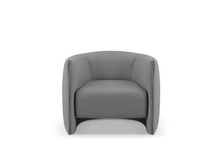 Кресло Cosmopolitan Design Pelago, серый цвет цена и информация | Кресла в гостиную | kaup24.ee