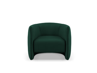 Кресло Cosmopolitan Design Pelago, зеленый цвет цена и информация | Кресла в гостиную | kaup24.ee