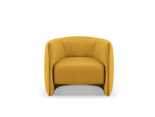 Кресло Cosmopolitan Design Pelago, желтый цвет цена и информация | Кресла в гостиную | kaup24.ee