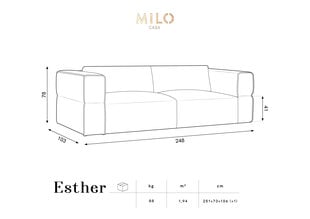 Диван Milo Casa Esther, 248x103x78 см, зеленый цвет цена и информация | Диваны | kaup24.ee