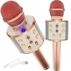 Karaokemikrofon lastele цена и информация | Развивающие игрушки | kaup24.ee