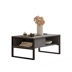Кофейный столик 100 см x 44,4 см x 59,7 см серый цена и информация | Журнальные столики | kaup24.ee