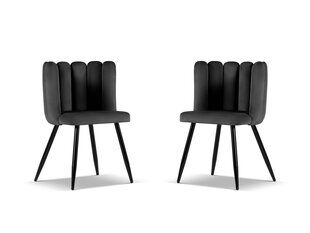 Toolide komplekt Cosmopolitan Design Evora, hall, 2 tooli hind ja info | Söögilaua toolid, köögitoolid | kaup24.ee