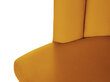 Toolide komplekt Cosmopolitan Design Evora, oranž, 2 tooli hind ja info | Söögilaua toolid, köögitoolid | kaup24.ee