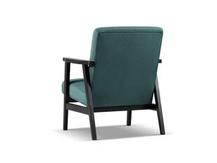 Кресло Cosmopolitan Design Tomar, зеленый/черный цвет цена и информация | Кресла в гостиную | kaup24.ee