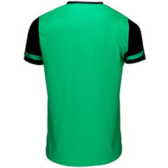 Футболка с коротким рукавом Luanvi Napoli Зеленый S3207936 цена и информация | Мужская спортивная одежда | kaup24.ee