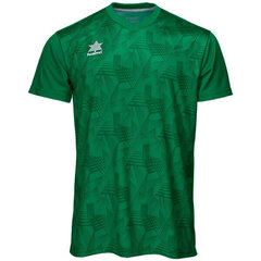 Футболка с коротким рукавом Luanvi Porto Зеленый S3201543 цена и информация | Мужская спортивная одежда | kaup24.ee