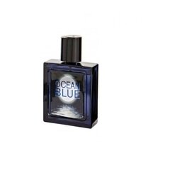 Tualettvesi Omerta Silver Ocean EDT meestele 100 ml цена и информация | Мужские духи | kaup24.ee