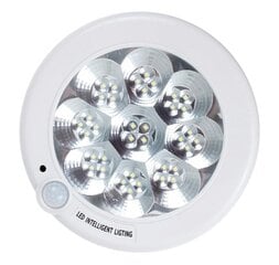 ZD55A LED lamp sensoriga, liikumisandur цена и информация | Потолочные светильники | kaup24.ee