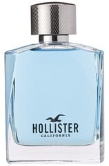 Туалетная вода Hollister California Wave EDT для мужчин 100 мл цена и информация | Мужские духи | kaup24.ee