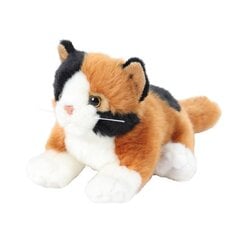 Palus mänguasi Beppe Cat, 30 cm цена и информация | Мягкие игрушки | kaup24.ee