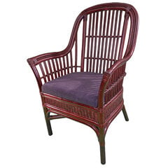 Kресло  RattaNeo Alhambra f13 коричневый цена и информация | Кресла в гостиную | kaup24.ee