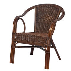 Кресло RattaNeo Emerald f117 коричневый цена и информация | Кресла в гостиную | kaup24.ee