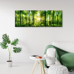 Seinapilt Päikesekiired metsas hind ja info | Seinapildid | kaup24.ee