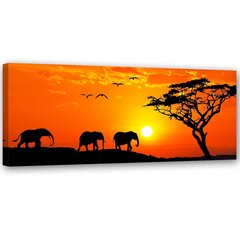 Seinapilt Savann Aafrikas hind ja info | Seinapildid | kaup24.ee