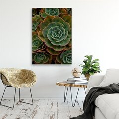 Репродукция зеленый сочный цветок  цена и информация | Картины, живопись | kaup24.ee