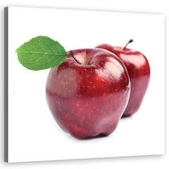 Печать холста, фрукты Apple 29,99 цена и информация | Картины, живопись | kaup24.ee