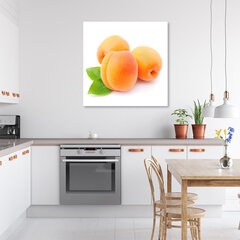 Печать холста, фрукты абрикосовые 29,99 цена и информация | Репродукции, картины | kaup24.ee