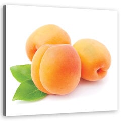 Печать холста, фрукты абрикосовые 29,99 цена и информация | Репродукции, картины | kaup24.ee