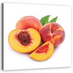 Холст печать, фрукты персик 29,99 цена и информация | Репродукции, картины | kaup24.ee