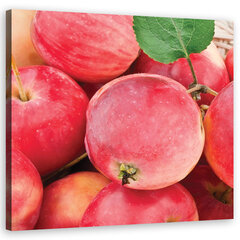 Печать холста, фрукты Apple 29,99 цена и информация | Картины, живопись | kaup24.ee