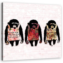 Seinapilt Naervad ahvid hind ja info | Seinapildid | kaup24.ee