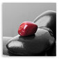 Seinapilt Zen Spa punane kivi hind ja info | Seinapildid | kaup24.ee