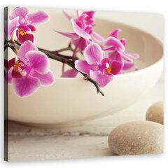 Seinapilt Roosad orhideed hind ja info | Seinapildid | kaup24.ee