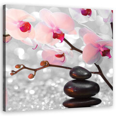 Печать холста, дзен камни и филиал орхидеи 39,99 цена и информация | Картины, живопись | kaup24.ee