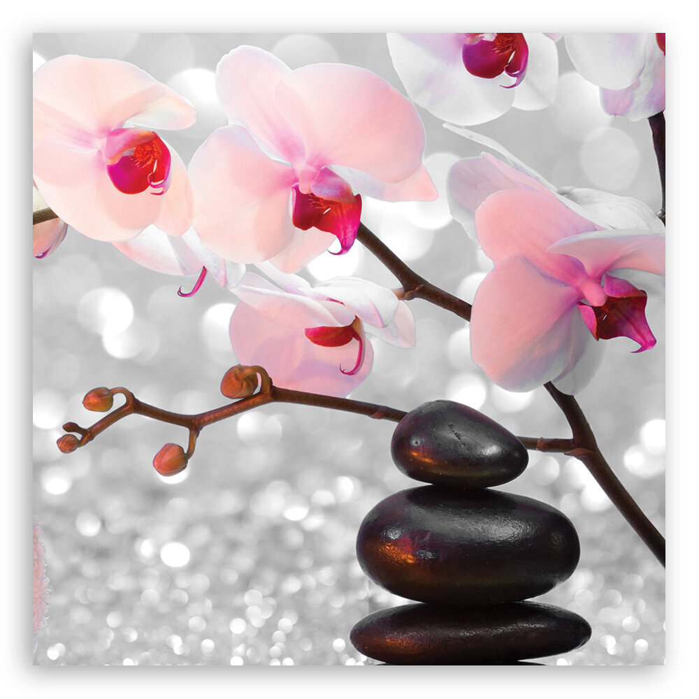 Seinapilt Zen kivid ja orhidee oks hind ja info | Seinapildid | kaup24.ee