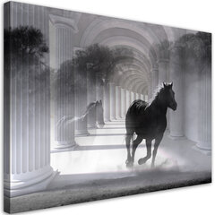 Печать холста, бегущая лошадь 3D 39,99 цена и информация | Картины, живопись | kaup24.ee