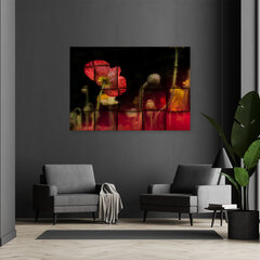 Холст, красный мак цветок 39,99 цена и информация | Картины, живопись | kaup24.ee