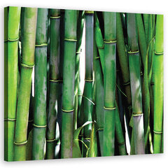 Seinapilt Roheline bambus hind ja info | Seinapildid | kaup24.ee
