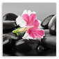 Seinapilt Roosa lill zen-kividel hind ja info | Seinapildid | kaup24.ee