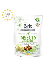 Brit Care Dog Crunchy Cracker Насекомые и кролики 200 гр. цена и информация | Лакомства для собак | kaup24.ee